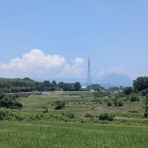 Ancient Botanical Garden