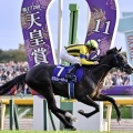 天皇賞秋2025年レース回顧
