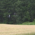 【北海道】クマに襲われた男性「素手で目をつぶした」 　死がいのクマと傷が一致し同一個体と判明