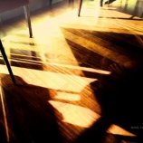 『「朝陽を浴びる会」は明日開催です vol.1954』の画像