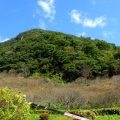 2026年10月15日(木)湯河原/幕岩トップロープクライミング講習会