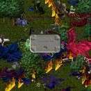 迅速に駆けつけよ！