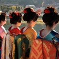 やまとがーる