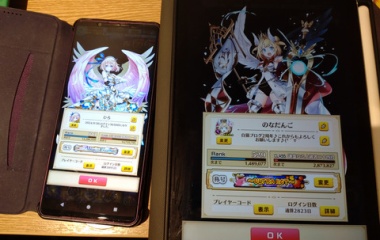 『ウマ娘が紡いでくれた白猫の縁』の画像