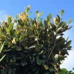 ぽんたの深呼吸