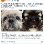 死んだ愛犬をクローン再生した女性が直面した残酷な現実