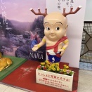 十文字槍の聖地「宝蔵院流鎌槍発祥之地」