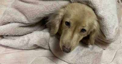 次の日の様子。