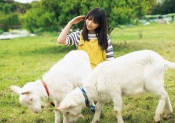 【乃木坂46】「志村動物園』観たヲタによる”与田祐希の新情報”がコチラｗｗｗｗｗ	