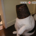 裏つるきち