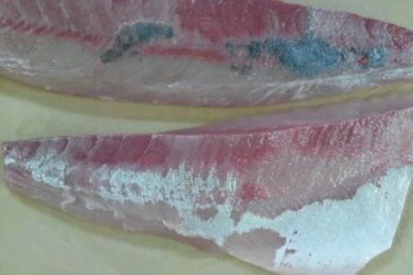 サクの取り方 カンパチ 簡単 魚の美味しいさばき方 サクの取り方 カンパチ 簡単 魚の美味しいさばき方