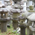 モノを大切に使う庭師さんの仕事