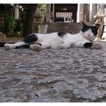 【画像】お出かけしたら写真を貼ってくｗｗｗ