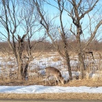 ロミオ研究所　コンセプトは表現、興味、創作、製作、制作、道東、仕事中、記録、Rock