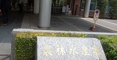 ただの日記　農水省の食堂でアブラツノザメを食べる