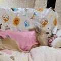 小春さんファーストのつもりが・・・
