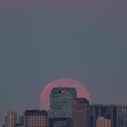 『投稿：渋谷スクランブルスクエアから昇る月【追記】　2025/12/09』の画像