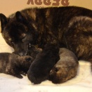 12月でケータ14歳、リク8歳