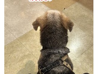 一緒に目指そう