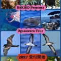【発表】2027年 SAKIKO Presents 小笠原ツアー