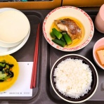 土佐料理　旬の鰹がゆく！