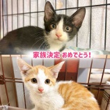 『あさりくん＆まつりちゃん、幸せになってね︎💕︎』の画像