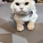 お客様のご紹介