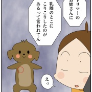 愛犬ティアラの手術記録①見つけてくれた人