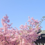 【カラーエクスプレス】でカラーシミュレーション！