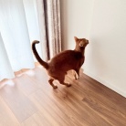 クネクネ甘えん坊ひめちゃん