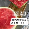 【ごはん日記】バタバタ忙しい日・鮭ハラス美味しすぎ🐟【1750kcal】