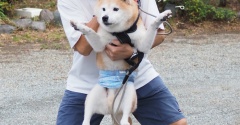 おめでとうございま〜す♪