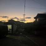 ワンちゃん☆ママン奮闘記