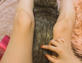 中川翔子の太ももがエロすぎるｗｗｗｗｗｗｗｗ