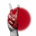 普通の日本人「日弁連が国旗毀損罪に反対？日弁連のロゴが毀損されてもOKなのか！」弁護士「どうぞ」