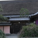 萩原寺の萩
