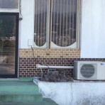 DIYで古民家&古店舗再生