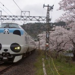 阪和線の沿線から