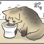 おそらくその平凡こそ幸せ　猫と私と家族の日常