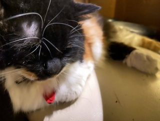 コトメは妊娠して高校をやめ、男に逃げられてシンママに。１５も年上の男と結婚したけど、男が日雇いだから共働きでカツカツの生活らしい。専業の私への嫉妬がほんとに心地いーｗ