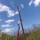 最盛期突入！！