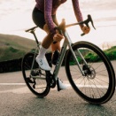 ORBEA　カンパ13S RECORD 完成車販売開始