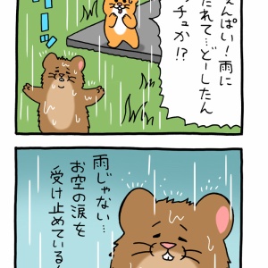 絶滅寸前の動物ハッチンパモス「パモススイッチ」 : キューライス記