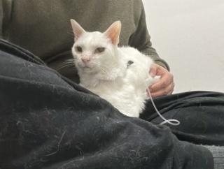 最後の願いとわがまま　20260301