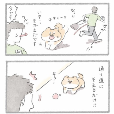 8月のスマホ用壁紙カレンダー配布 じゅんのいぬかわいいメモ Powered By ライブドアブログ