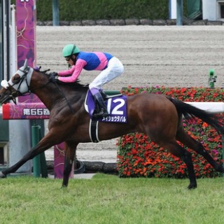 ☆うまなみ・競馬にゅーす速報