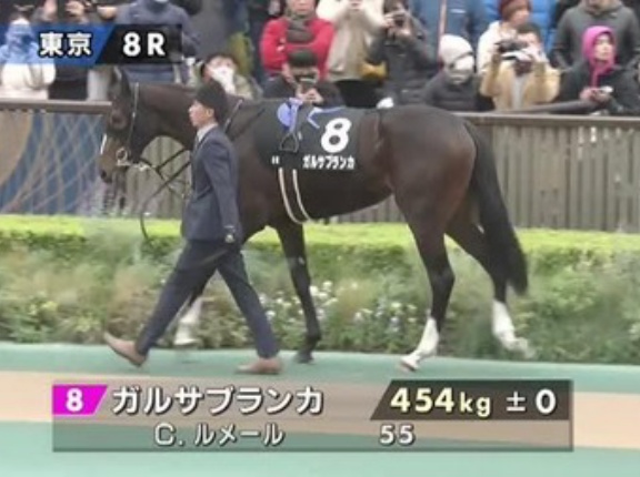 イクイノックスの半妹ガルサブランカ、引退