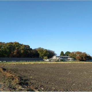 NPO犬猫みなしご救援隊・代表ブログ・みなしご庵へようこそ