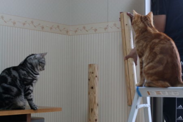 キャットタワーの作り方 Diy 手作り 自作 2 2 Diyナビ