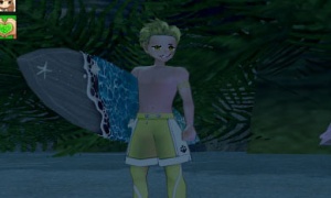 レモンがサーフィンをしなくなっている